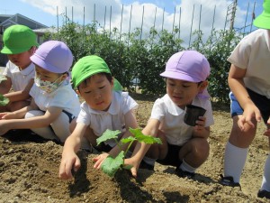 ★最近の年長組★