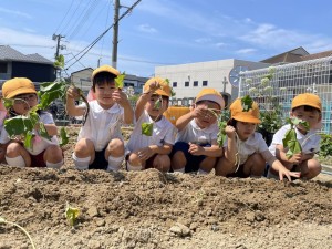 ☆年中組☆　　～最近の出来事～