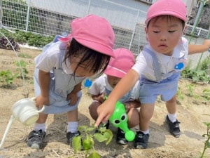 ☆年中組☆　　～最近の出来事～