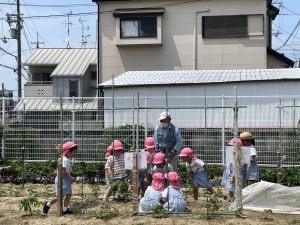 ☆年中組☆　　～最近の出来事～