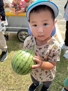 スイカを収穫しました🍉あひる・ひよこ組🍉