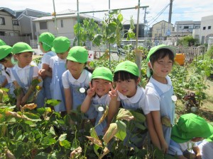 年長組★枝豆を収穫したよ★