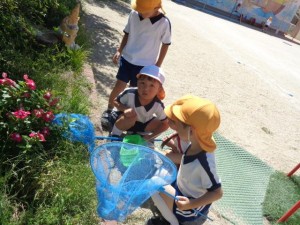 ★最近の年中組の様子★