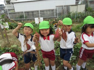 ☆おいもほり☆