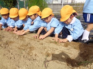 ★最近の年中組の様子★