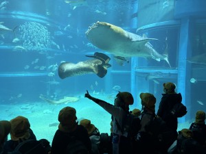 ★お別れ遠足★