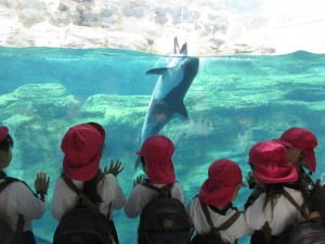 ★お別れ遠足★