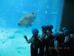 ★お別れ遠足★