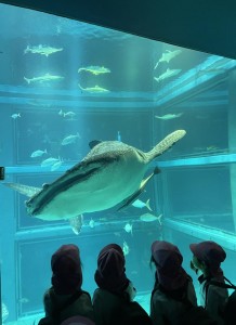 ★年中★　～１年間ありがとうございました～